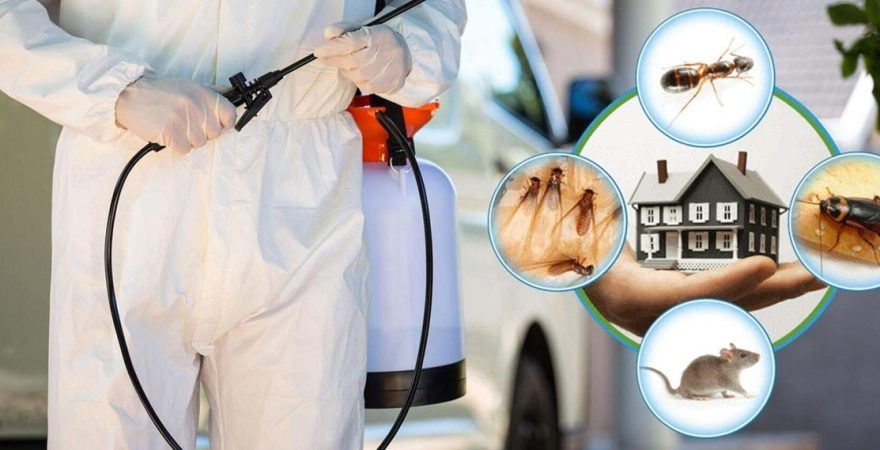 Çüngüş Böcek İlaçlama