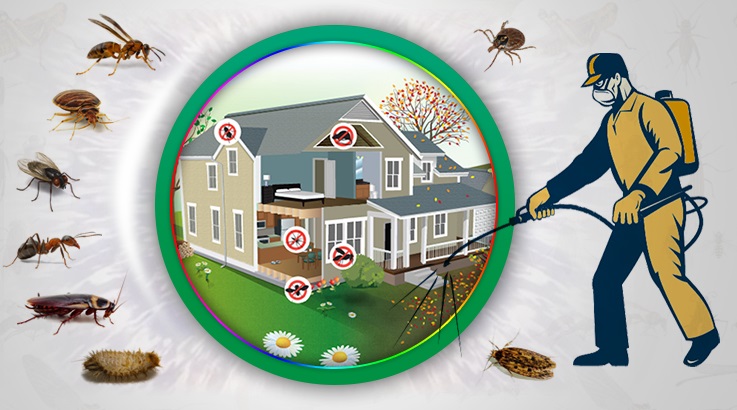 Çüngüş Böcek İlaçlama