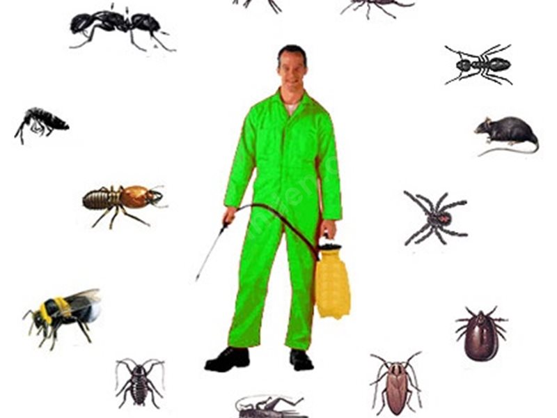 Çüngüş Böcek İlaçlama